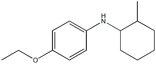 4-ethoxy-N-(2-methylcyclohexyl)aniline 구조식 이미지