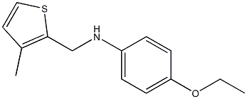 4-ethoxy-N-[(3-methylthiophen-2-yl)methyl]aniline 구조식 이미지