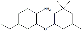 4-ethyl-2-[(3,3,5-trimethylcyclohexyl)oxy]cyclohexan-1-amine Structure