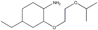 4-ethyl-2-[2-(propan-2-yloxy)ethoxy]cyclohexan-1-amine Structure