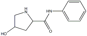 4-hydroxy-N-phenylpyrrolidine-2-carboxamide Structure