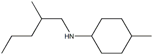 4-methyl-N-(2-methylpentyl)cyclohexan-1-amine Structure