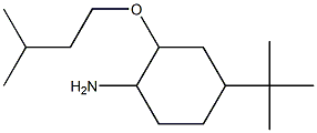 4-tert-butyl-2-(3-methylbutoxy)cyclohexan-1-amine 구조식 이미지