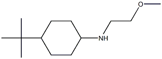 4-tert-butyl-N-(2-methoxyethyl)cyclohexan-1-amine 구조식 이미지