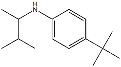 4-tert-butyl-N-(3-methylbutan-2-yl)aniline 구조식 이미지