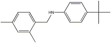 4-tert-butyl-N-[(2,4-dimethylphenyl)methyl]aniline 구조식 이미지