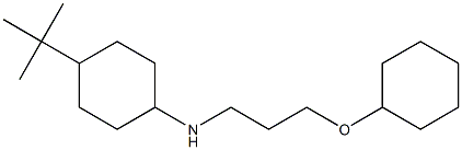 4-tert-butyl-N-[3-(cyclohexyloxy)propyl]cyclohexan-1-amine 구조식 이미지