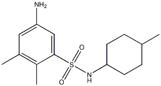 5-amino-2,3-dimethyl-N-(4-methylcyclohexyl)benzene-1-sulfonamide 구조식 이미지