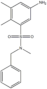 5-amino-N-benzyl-N,2,3-trimethylbenzene-1-sulfonamide Structure