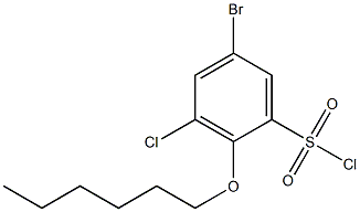 5-bromo-3-chloro-2-(hexyloxy)benzene-1-sulfonyl chloride 구조식 이미지