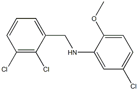 5-chloro-N-[(2,3-dichlorophenyl)methyl]-2-methoxyaniline Structure