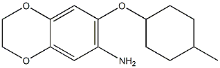 7-[(4-methylcyclohexyl)oxy]-2,3-dihydro-1,4-benzodioxin-6-amine 구조식 이미지