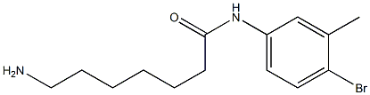 7-amino-N-(4-bromo-3-methylphenyl)heptanamide Structure