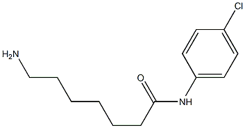 7-amino-N-(4-chlorophenyl)heptanamide Structure