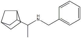 benzyl(1-{bicyclo[2.2.1]heptan-2-yl}ethyl)amine Structure