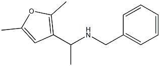 benzyl[1-(2,5-dimethylfuran-3-yl)ethyl]amine 구조식 이미지