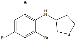 N-(2,4,6-tribromophenyl)thiolan-3-amine 구조식 이미지