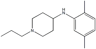 N-(2,5-dimethylphenyl)-1-propylpiperidin-4-amine Structure