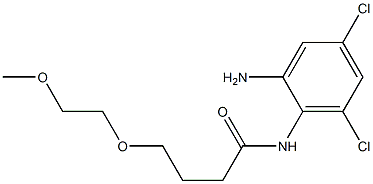 N-(2-amino-4,6-dichlorophenyl)-4-(2-methoxyethoxy)butanamide Structure