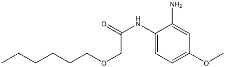 N-(2-amino-4-methoxyphenyl)-2-(hexyloxy)acetamide 구조식 이미지