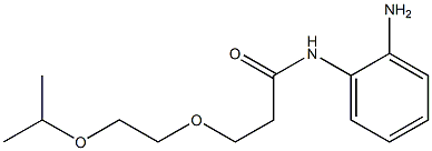 N-(2-aminophenyl)-3-[2-(propan-2-yloxy)ethoxy]propanamide 구조식 이미지