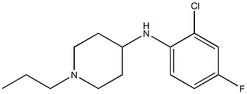 N-(2-chloro-4-fluorophenyl)-1-propylpiperidin-4-amine 구조식 이미지