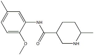 N-(2-methoxy-5-methylphenyl)-6-methylpiperidine-3-carboxamide Structure