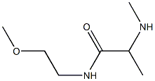 N-(2-methoxyethyl)-2-(methylamino)propanamide 구조식 이미지