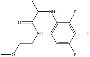 N-(2-methoxyethyl)-2-[(2,3,4-trifluorophenyl)amino]propanamide 구조식 이미지
