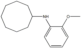 N-(2-methoxyphenyl)cyclooctanamine 구조식 이미지
