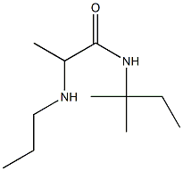 N-(2-methylbutan-2-yl)-2-(propylamino)propanamide 구조식 이미지