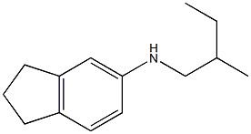 N-(2-methylbutyl)-2,3-dihydro-1H-inden-5-amine 구조식 이미지