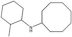 N-(2-methylcyclohexyl)cyclooctanamine 구조식 이미지