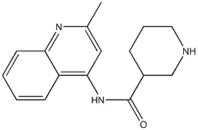 N-(2-methylquinolin-4-yl)piperidine-3-carboxamide Structure