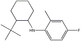 N-(2-tert-butylcyclohexyl)-4-fluoro-2-methylaniline 구조식 이미지