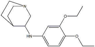 N-(3,4-diethoxyphenyl)-1-azabicyclo[2.2.2]octan-3-amine 구조식 이미지