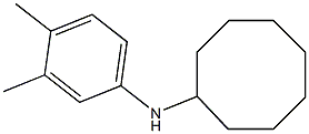 N-(3,4-dimethylphenyl)cyclooctanamine 구조식 이미지