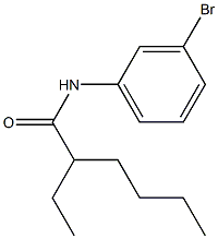 N-(3-bromophenyl)-2-ethylhexanamide Structure