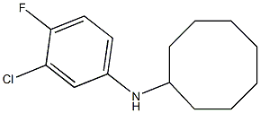 N-(3-chloro-4-fluorophenyl)cyclooctanamine Structure