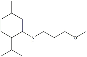 N-(3-methoxypropyl)-5-methyl-2-(propan-2-yl)cyclohexan-1-amine 구조식 이미지