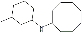 N-(3-methylcyclohexyl)cyclooctanamine 구조식 이미지