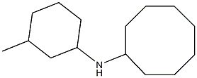 N-(3-methylcyclohexyl)cyclooctanamine Structure