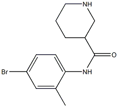 N-(4-bromo-2-methylphenyl)piperidine-3-carboxamide Structure