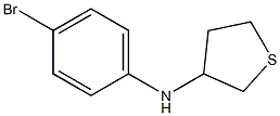 N-(4-bromophenyl)thiolan-3-amine 구조식 이미지