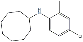 N-(4-chloro-2-methylphenyl)cyclooctanamine 구조식 이미지