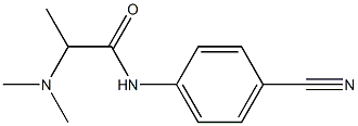 N-(4-cyanophenyl)-2-(dimethylamino)propanamide 구조식 이미지