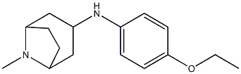 N-(4-ethoxyphenyl)-8-methyl-8-azabicyclo[3.2.1]octan-3-amine 구조식 이미지