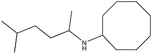 N-(5-methylhexan-2-yl)cyclooctanamine 구조식 이미지