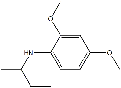 N-(butan-2-yl)-2,4-dimethoxyaniline 구조식 이미지