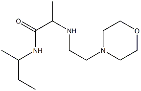 N-(butan-2-yl)-2-{[2-(morpholin-4-yl)ethyl]amino}propanamide 구조식 이미지